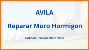 Reparar Muro Hormigon en Avila