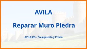 Reparar Muro Piedra en Avila