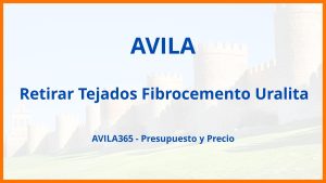 Retirar Tejados Fibrocemento Uralita en Avila