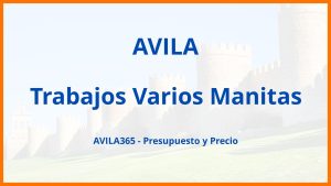 Trabajos Varios Manitas en Avila